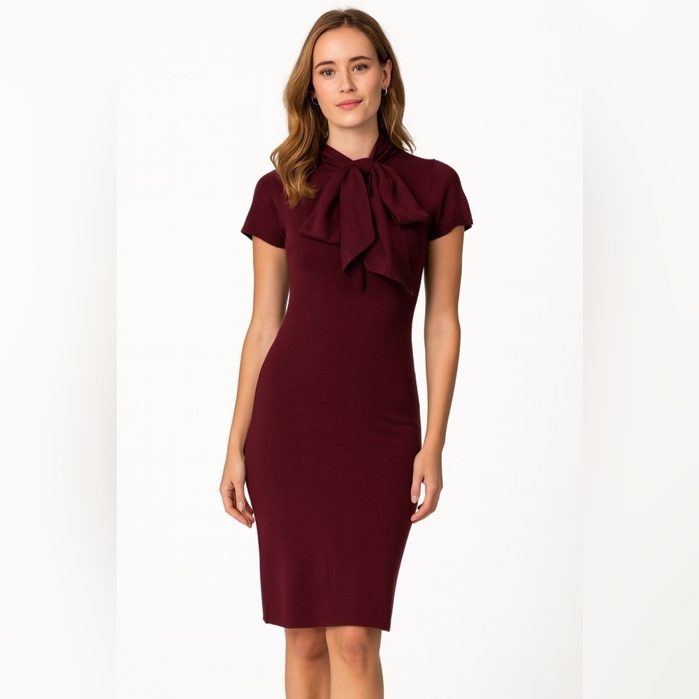 Ralph Lauren Black Label Cashmere Midi Dress Tie Bow Neck Pencil Sheath Maroon